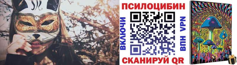 Псилоцибиновые грибы Psilocybe  наркотики  Рубцовск 